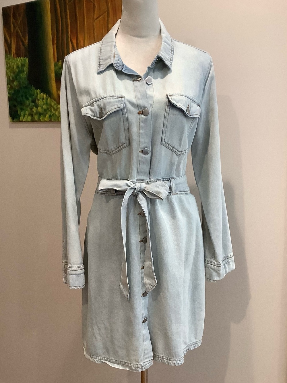 Calvin Klein Light Blue Denim Shirt Dress with Tie Waist Size 8, NWOT